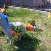 img_5730