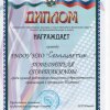 diplom3